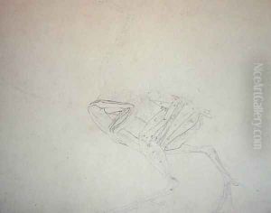 Dorking Hen Body, Lateral View, from A Comparative Anatomical Exposition of the Structure of the Human Body with that of a Tiger and a Common Fowl, 1795-1806 by George Stubbs