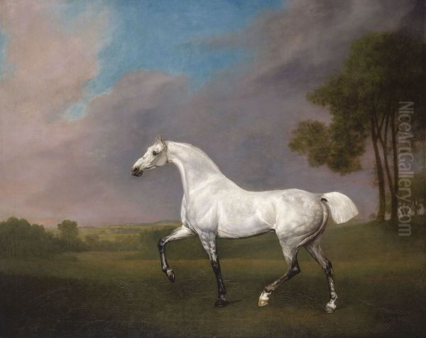 A Grey Horse - view 1