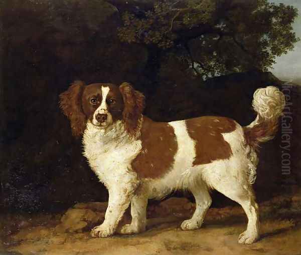 A Liver and White Spaniel, 1777 - view 1