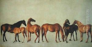 Mares and Foals without a Background, c.1762 by George Stubbs