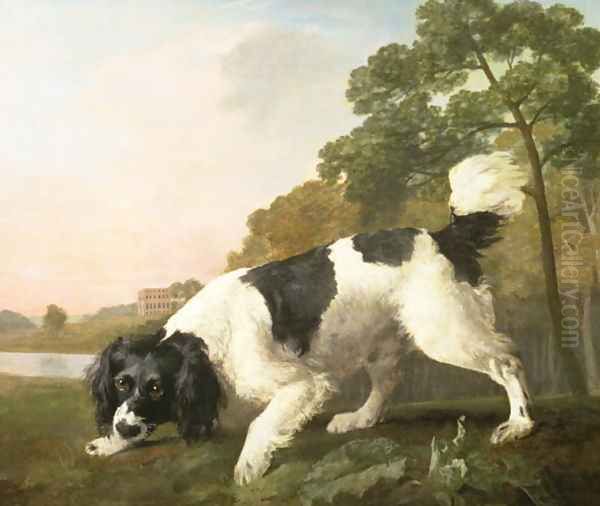 A Spaniel in a Landscape, 1771 - view 1