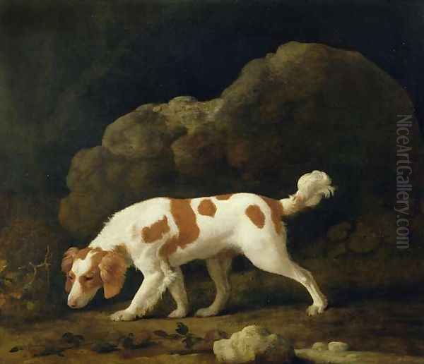 A Spaniel - view 1