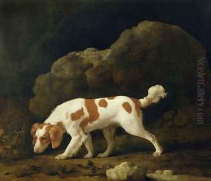 A Spaniel by George Stubbs