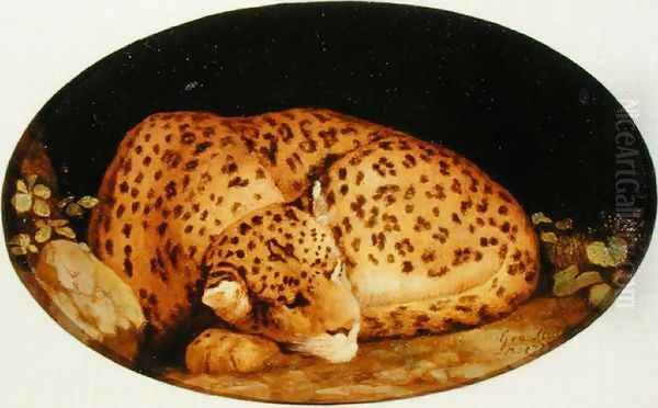 Sleeping Leopard, 1777 - view 1
