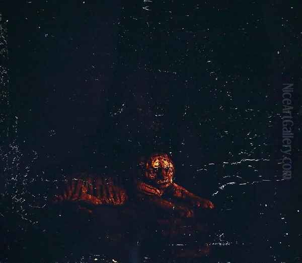 A Tiger - view 1