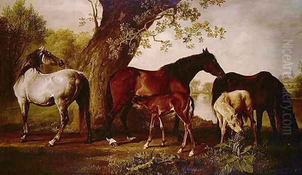 Mare and Foals - view 1