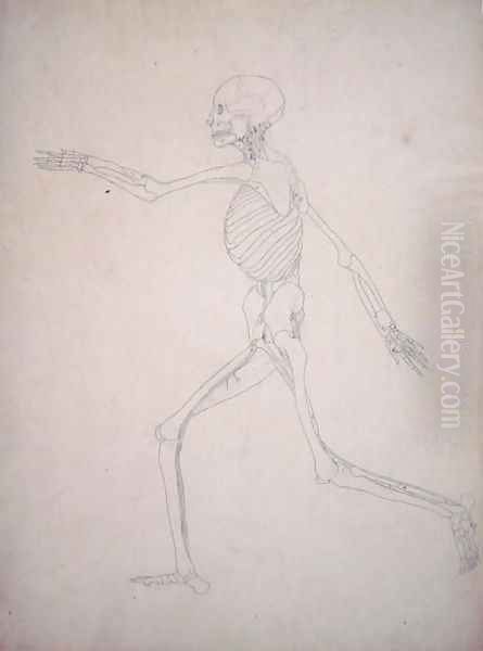 Study of the Human Figure, Lateral View, from A Comparative Anatomical Exposition of the Structure of the Human Body with that of a Tiger and a Common Fowl, 1795-1806 11 - view 1