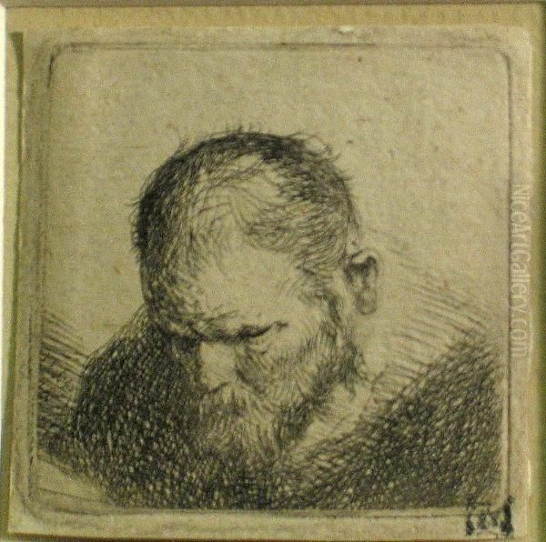 A Bearded Man Looking Down - view 1