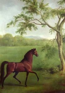 An Arabian Stallion beneath a Tree, c.1761-63 by George Stubbs