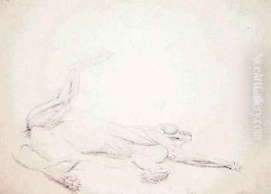 Study of a Tiger, Recumbent, Viewed Ventrally, from A Comparative Anatomical Exposition of the Structure of the Human Body with that of a Tiger and a Common Fowl, 1795-1806 by George Stubbs