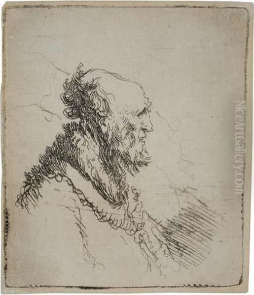 Bald Old Man With A Short Beard, In Profile Right - view 1