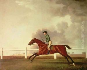 Bay Malton with John Singleton Up, c.1767 by George Stubbs