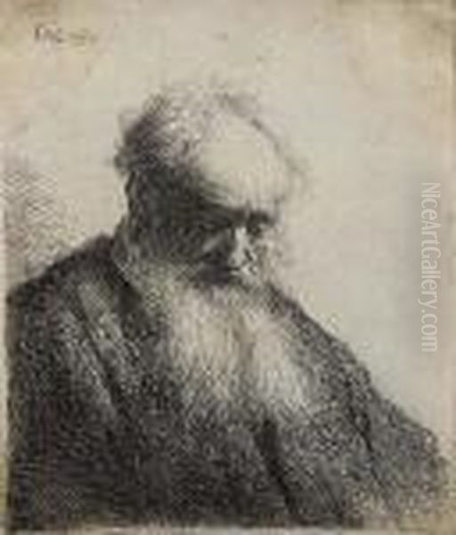 Old Man With Flowing Beard, Bust - view 1