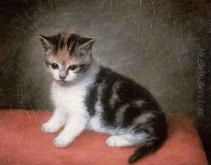 Miss Ann Whites Kitten, 1790 by George Stubbs