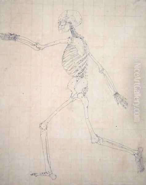 Study of the Human Figure, Lateral View, finished study for Table III, from A Comparative Anatomical Exposition of the Structure of the Human Body with that of a Tiger and a Common Fowl, 1795-1806 - view 1