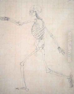 Study of the Human Figure, Lateral View, finished study for Table III, from A Comparative Anatomical Exposition of the Structure of the Human Body with that of a Tiger and a Common Fowl, 1795-1806 by George Stubbs