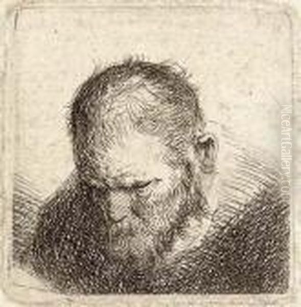 A Bearded Man Looking Down - view 1
