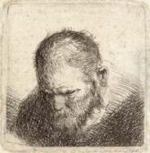 A Bearded Man Looking Down by Harmenszoon van Rijn Rembrandt