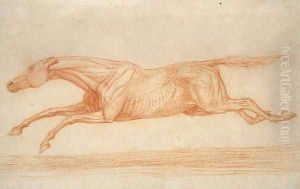 Study of a Racehorse in Action galloping to the left by George Stubbs
