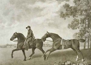 Two Hacks, engraved by George Townley Stubbs by George Stubbs