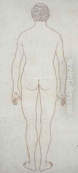 Study of the Human Figure, Posterior View, from A Comparative Anatomical Exposition of the Structure of the Human Body with that of a Tiger and a Common Fowl, c.1795-1806 10 - view 1