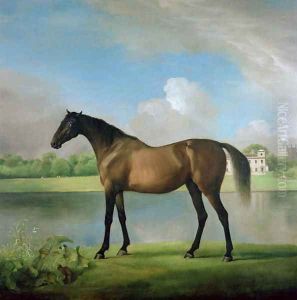 Viscount Bolingbrokes favourite hunter by George Stubbs