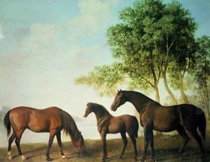 Shafto Mares and a Foal by George Stubbs