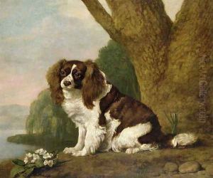 Fanny, a brown and white spaniel, 1778 by George Stubbs