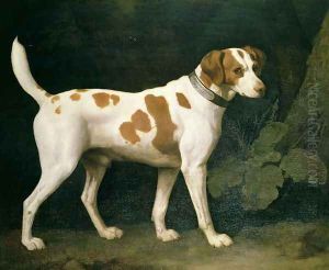 Portrait of a Hound belonging to William Pitt, 1st Earl of Chatham, 1788 by George Stubbs