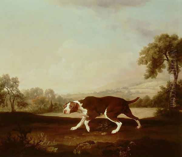 Spanish Pointer - view 1