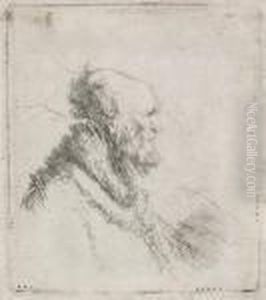 Bald Old Man With Short Beard by Harmenszoon van Rijn Rembrandt