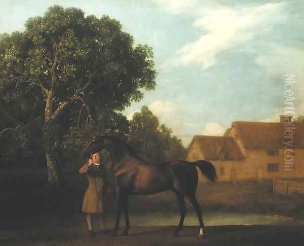 Sweet William, 1783 - view 1