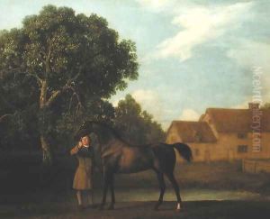 Sweet William, 1783 by George Stubbs