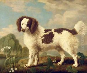 Brown and White Norfolk or Water Spaniel, 1778 by George Stubbs