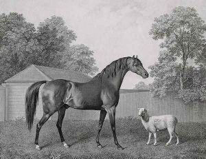 Dungannon, engraved by George Townley Stubbs 1756-1815 pub. 1794 by George Stubbs