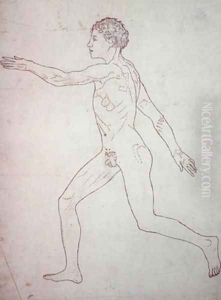 Study of the Human Figure, Lateral View, from A Comparative Anatomical Exposition of the Structure of the Human Body with that of a Tiger and a Common Fowl, c.1795-1806 4 - view 1