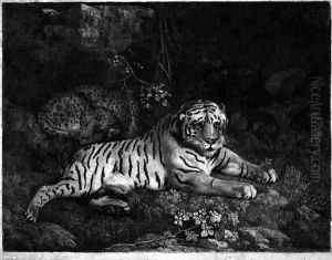 Two Tygers, engraved by the artist, pub. 1788