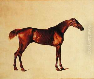 Rufus by George Stubbs