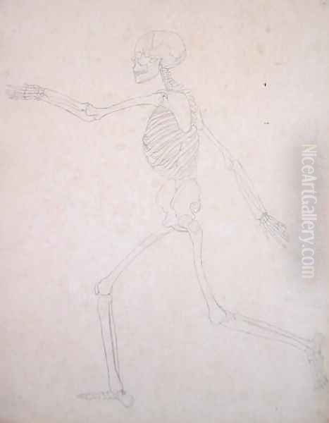 Study of the Human Figure, Lateral View, from A Comparative Anatomical Exposition of the Structure of the Human Body with that of a Tiger and a Common Fowl, 1795-1806 4 - view 1