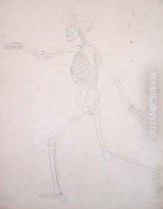 Study of the Human Figure, Lateral View, from A Comparative Anatomical Exposition of the Structure of the Human Body with that of a Tiger and a Common Fowl, 1795-1806 4 by George Stubbs