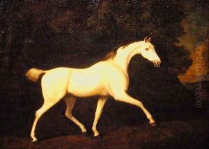 The Earl of Westmorlands Grey Hunter, 1786 The Earl of Westmorlands Grey Hunter, 1786