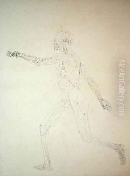 Study of the Human Figure, Lateral View, diagram for key to table XIII, from A Comparative Anatomical Exposition of the Structure of the Human Body with that of a Tiger and a Common Fowl, 1795-1806 - view 1