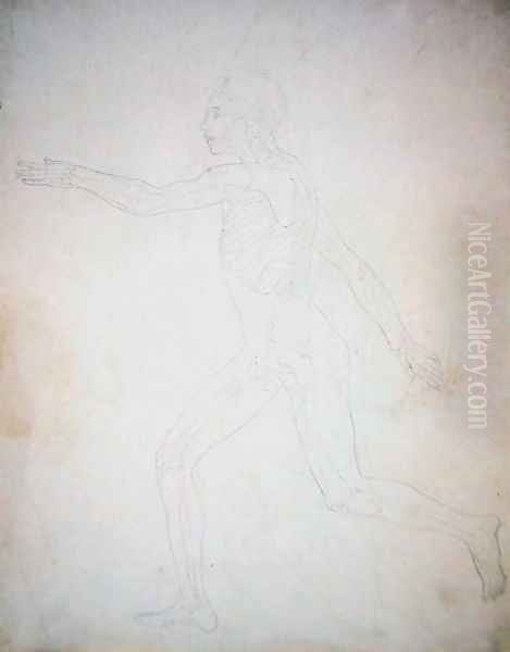 Study of the Human Figure, Lateral View, A Comparative Anatomical Exposition of the Structure of the Human Body with that of a Tiger and a Common Fowl, c.1795-1806 - view 1