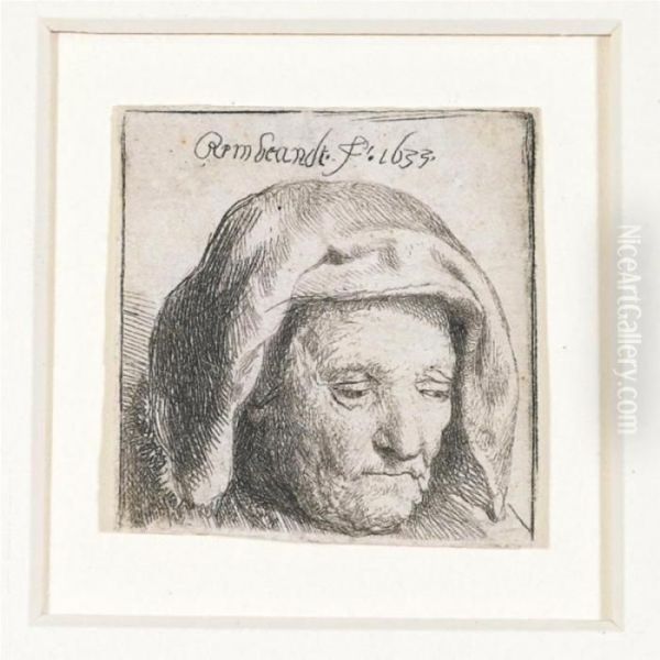The Artist's Mother In A Cloth
Headdress, Looking Down: Head Only (b., Holl.351; H.107; Bb.33-f) - view 1