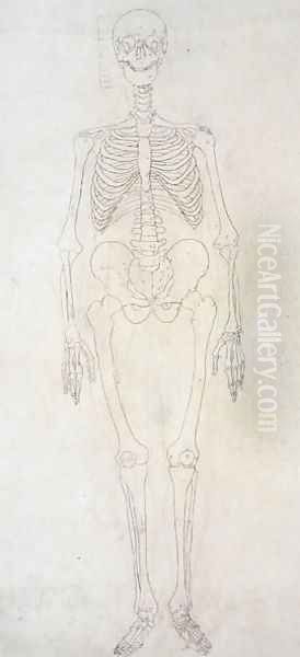 Study of the Human Figure, Anterior View, from A Comparative Anatomical Exposition of the Structure of the Human Body with that of a Tiger and a Common Fowl, c.1795-1806 3 - view 1
