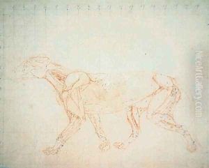 Study of a Tiger, Lateral View, from A Comparative Anatomical Exposition of the Structure of the Human Body with that of a Tiger and a Common Fowl, 1795-1806 7 by George Stubbs