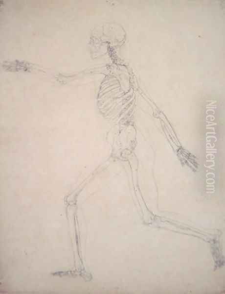 Study of the Human Figure, Lateral View, from A Comparative Anatomical Exposition of the Structure of the Human Body with that of a Tiger and a Common Fowl, 1795-1806 6 - view 1