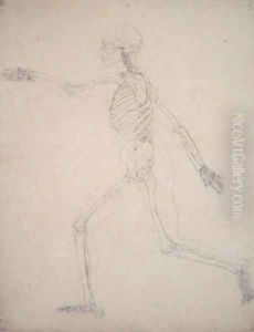 Study of the Human Figure, Lateral View, from A Comparative Anatomical Exposition of the Structure of the Human Body with that of a Tiger and a Common Fowl, 1795-1806 6 by George Stubbs