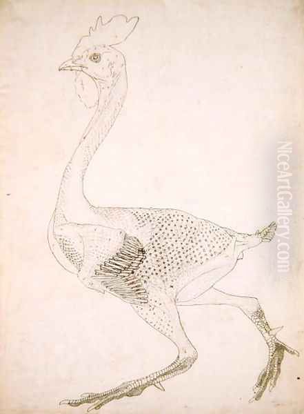 Study of a Fowl, Lateral View, from A Comparative Anatomical Exposition of the Structure of the Human Body with that of a Tiger and a Common Fowl, 1795-1806 6 - view 1