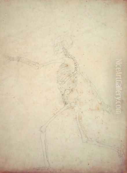 Study of the Human Figure, Lateral View, from A Comparative Anatomical Exposition of the Structure of the Human Body with that of a Tiger and a Common Fowl, 1795-1806 10 - view 1